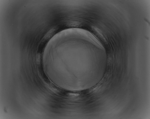 X0000093120167200710171253