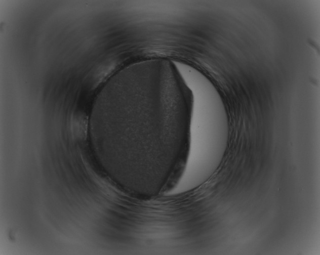 X0000093120168200710171253