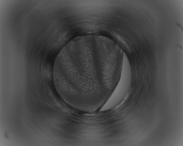 X0000093120170200710171253