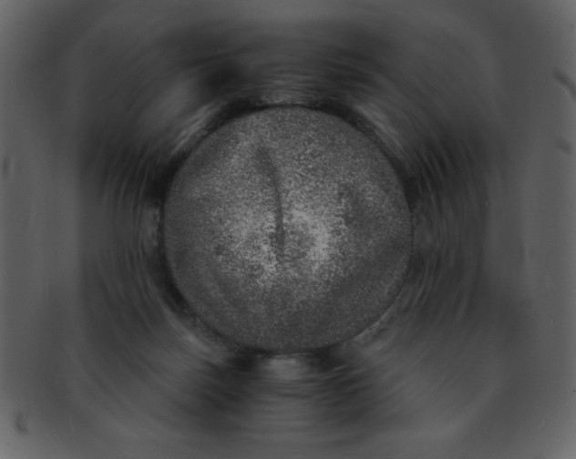 X0000093120171200710171253