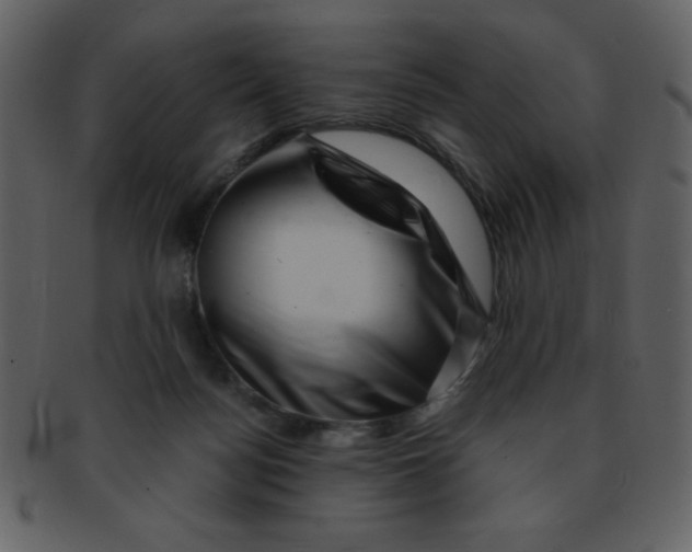 X0000093120172200710171253