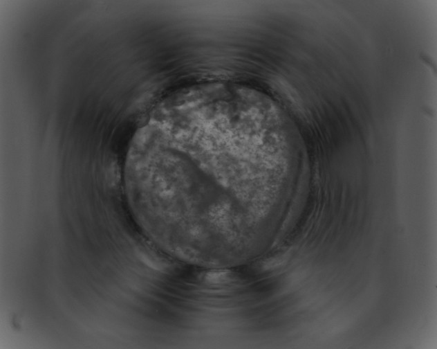 X0000093120173200710171253