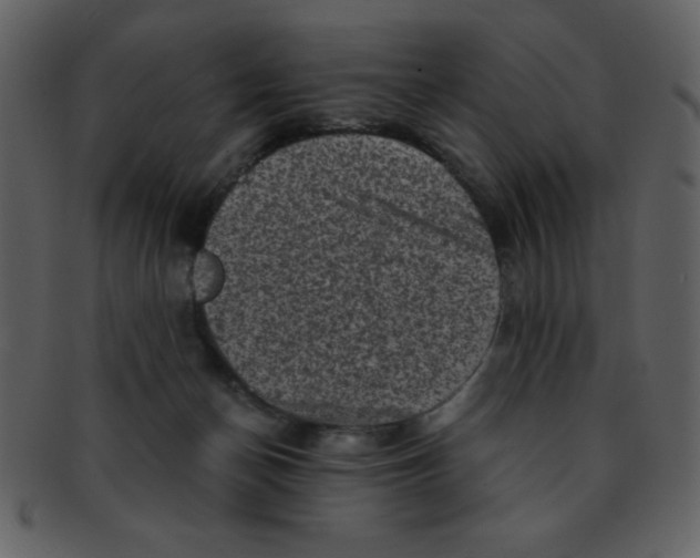 X0000093120174200710171253