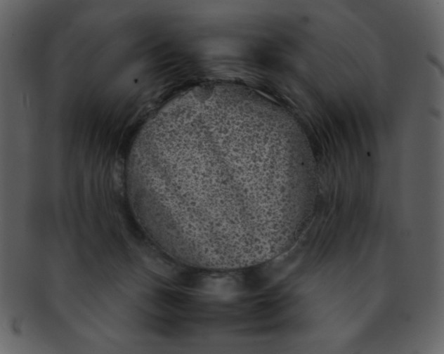 X0000093120175200710171253