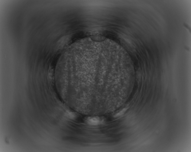 X0000093120181200710171253