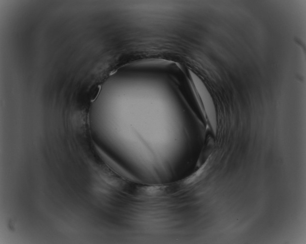 X0000093120184200710171253