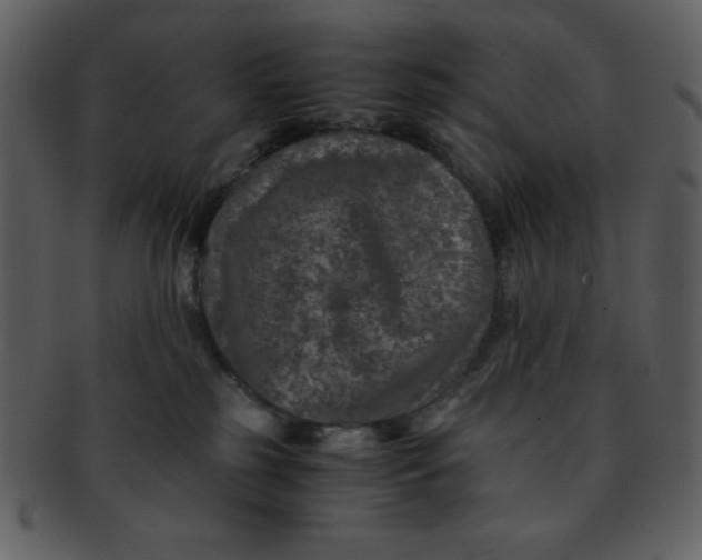 X0000093120185200710171253