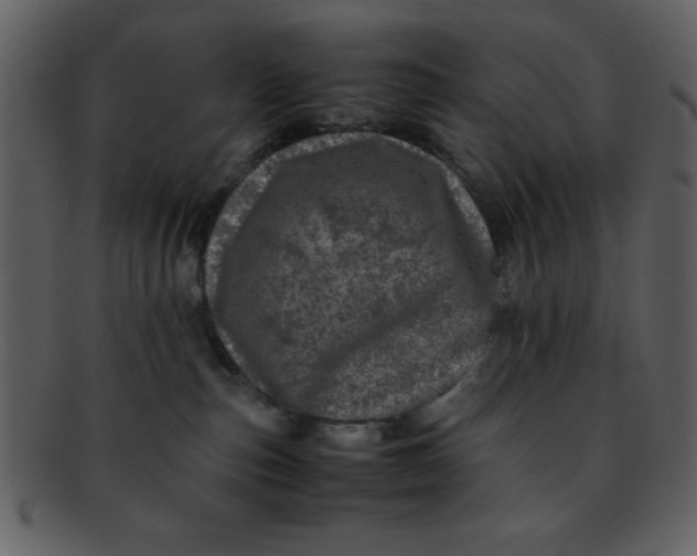 X0000093120187200710171253