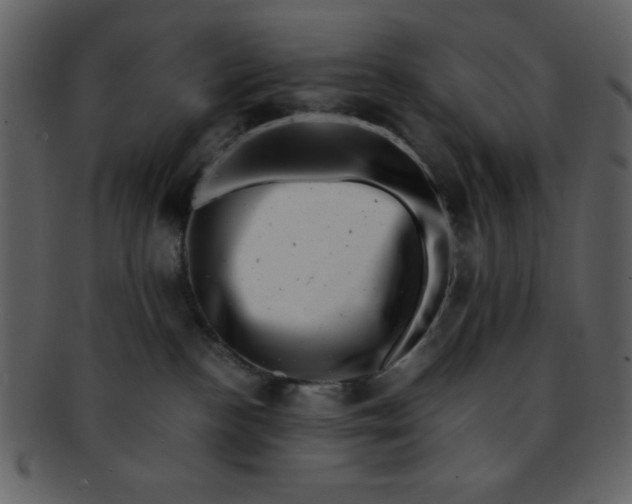 X0000093120188200710171253