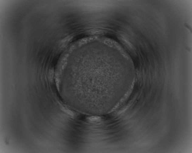 X0000093120189200710171253