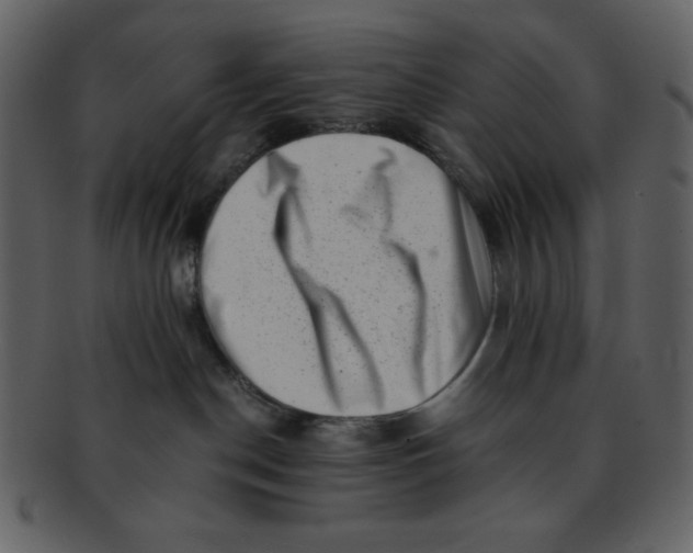 X0000093120190200710171253