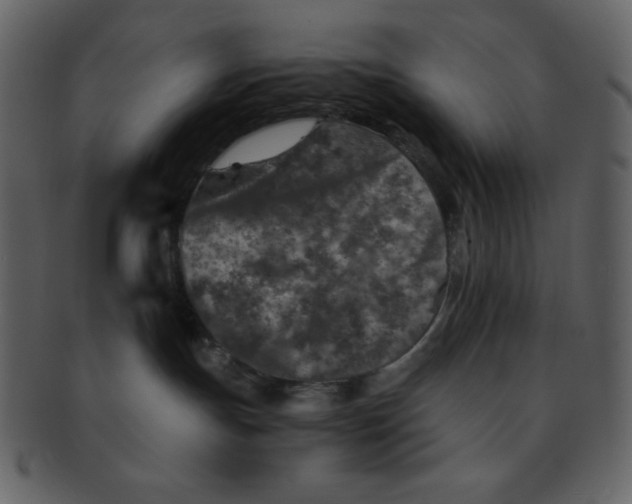 X0000093120191200710171253