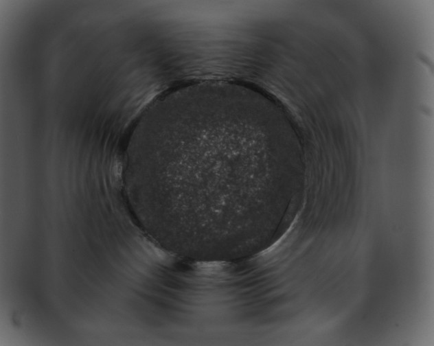 X0000093120192200710171253