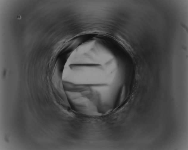 X0000093120193200710171253