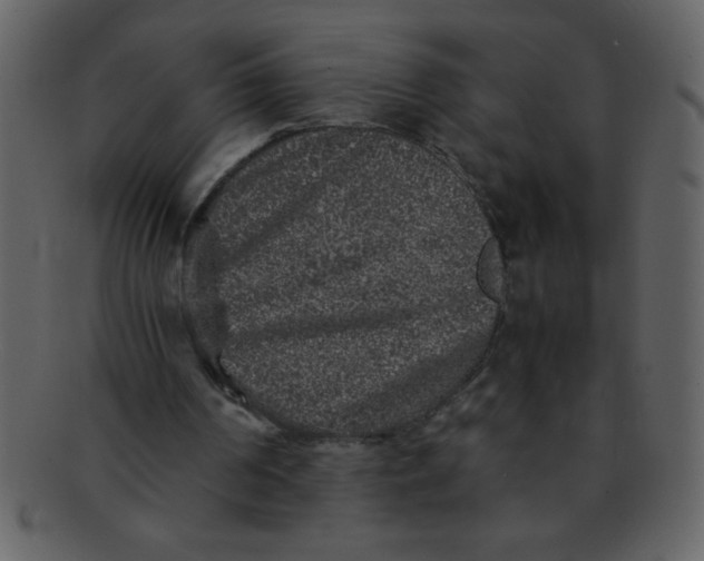 X0000093120194200710171253