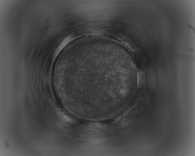 X0000093120195200710171253