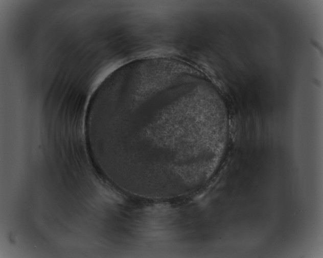 X0000093120196200710171253