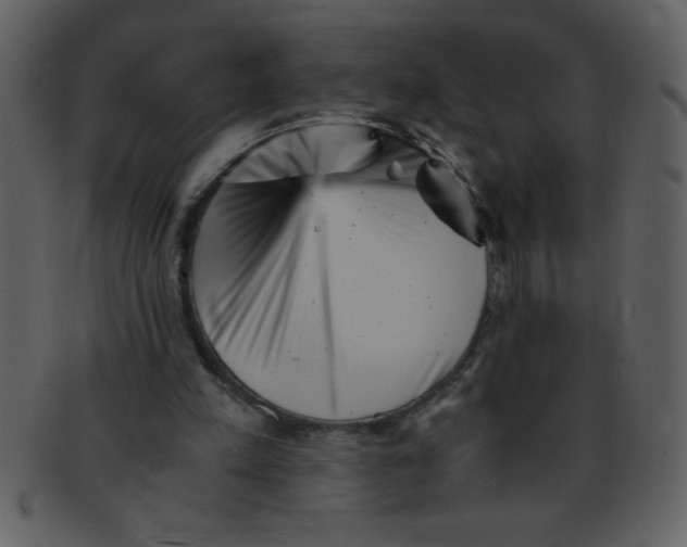 X0000093120197200710171253