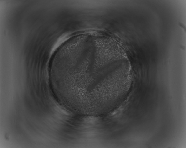 X0000093120198200710171253