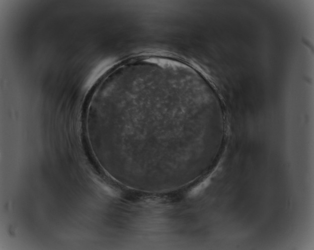 X0000093120199200710171253