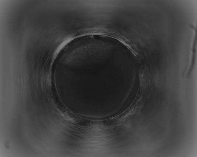 X0000093120200200710171253