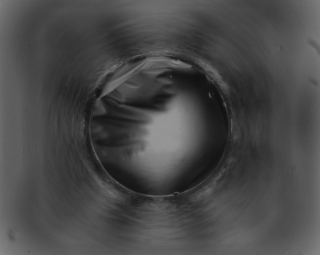 X0000093120201200710171253