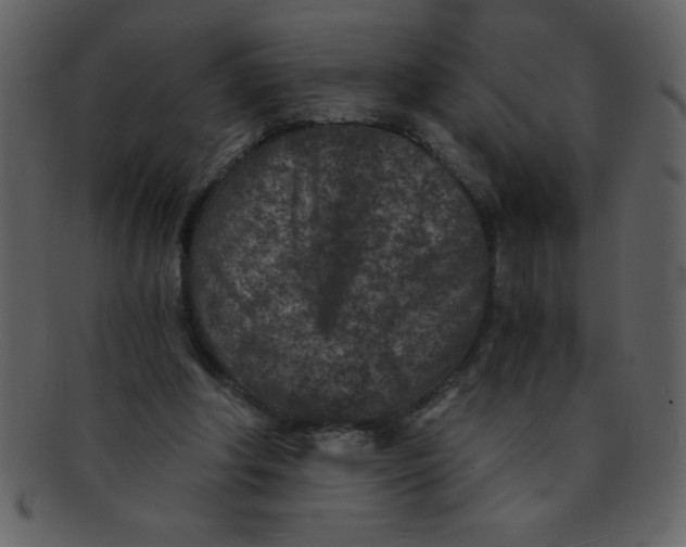 X0000093120202200710171253