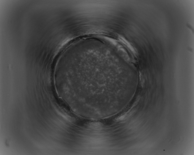 X0000093120203200710171253