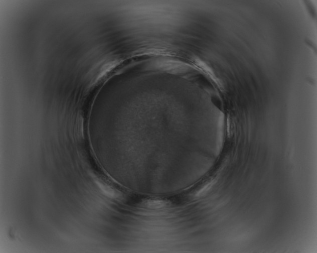 X0000093120205200710171253