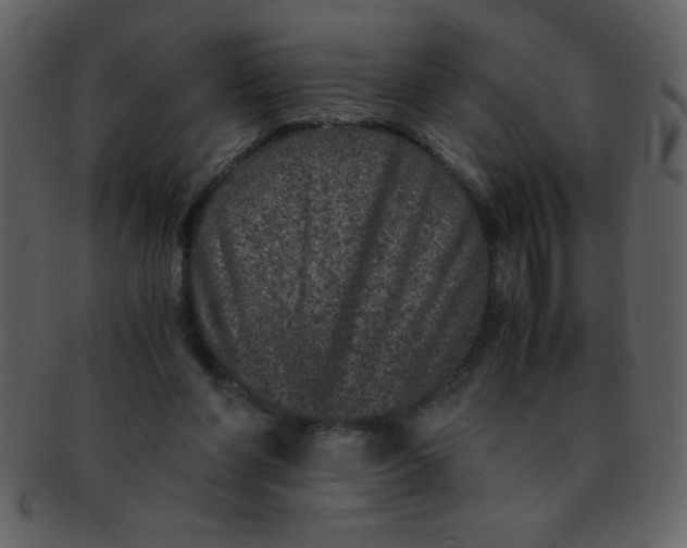 X0000093120206200710171253