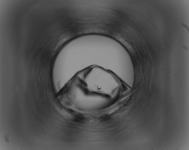 X0000093120207200710171253