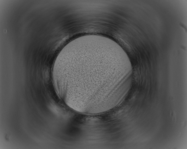 X0000093120208200710171253