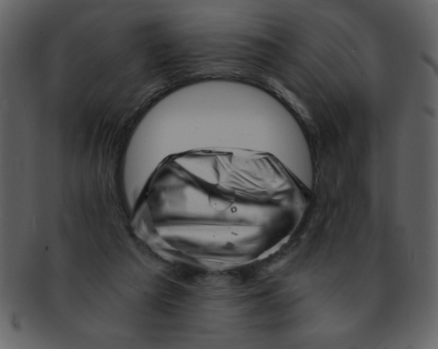 X0000093120209200710171253