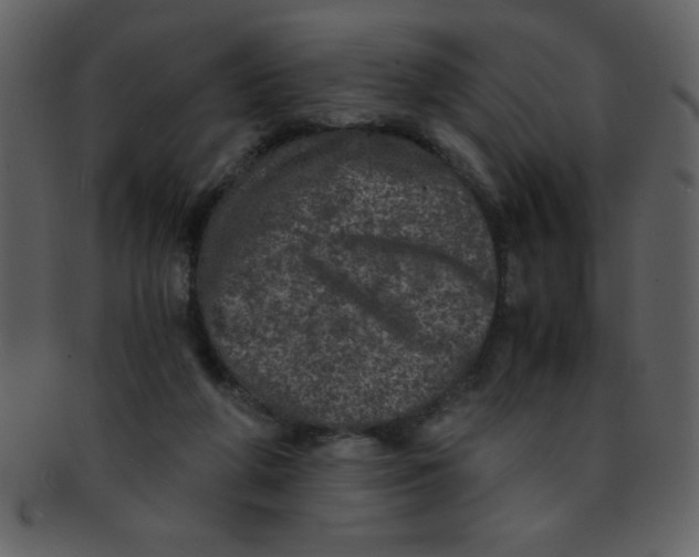 X0000093120210200710171253