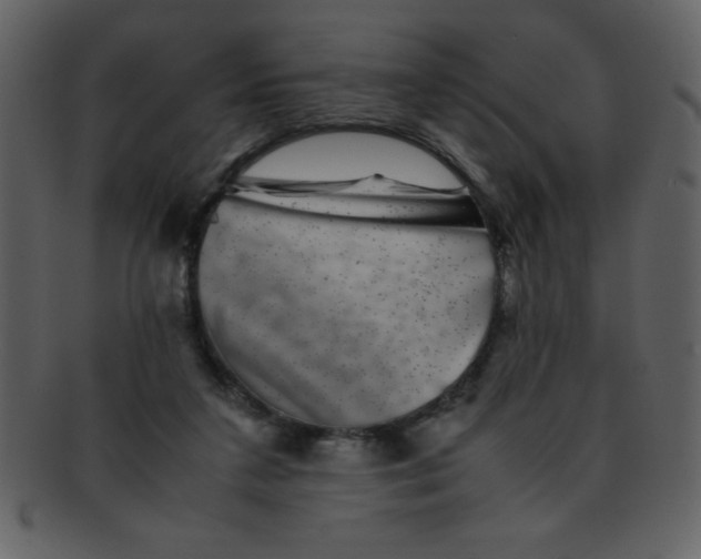 X0000093120211200710171253