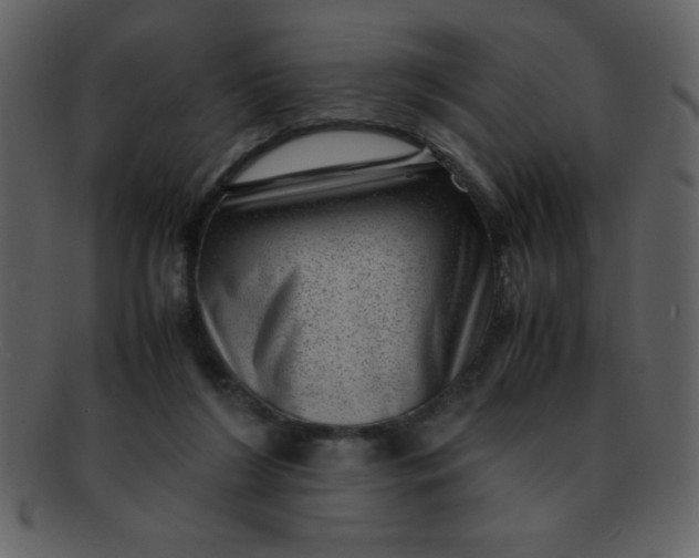 X0000093120212200710171253