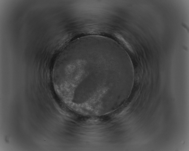 X0000093120213200710171253