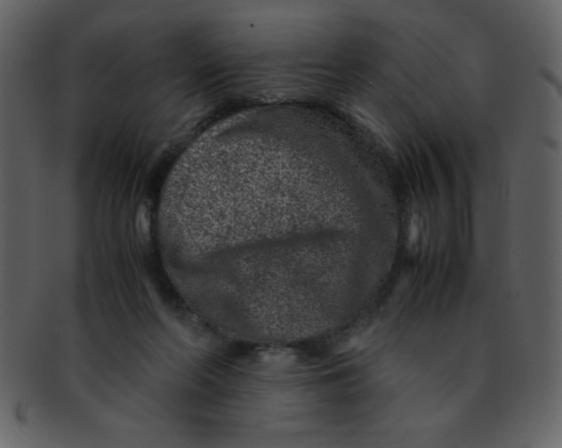 X0000093120214200710171253