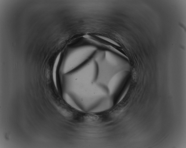 X0000093120215200710171253