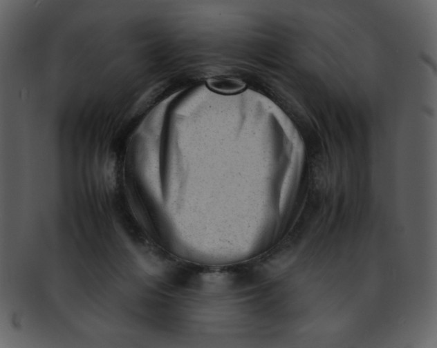 X0000093120216200710171253