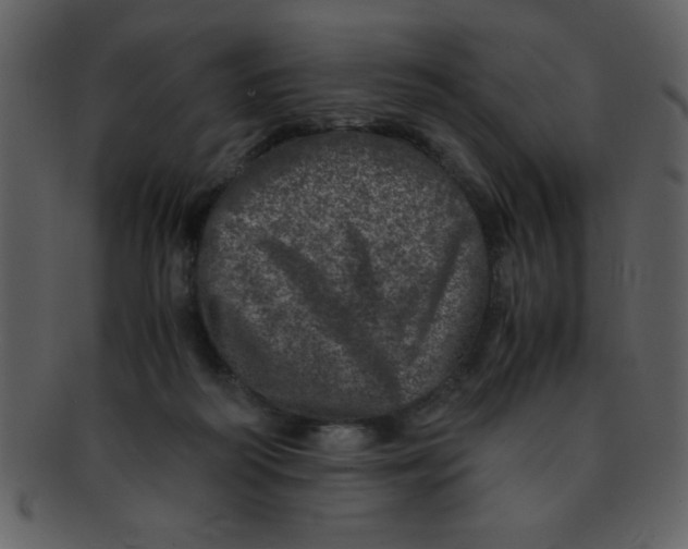 X0000093120218200710171252