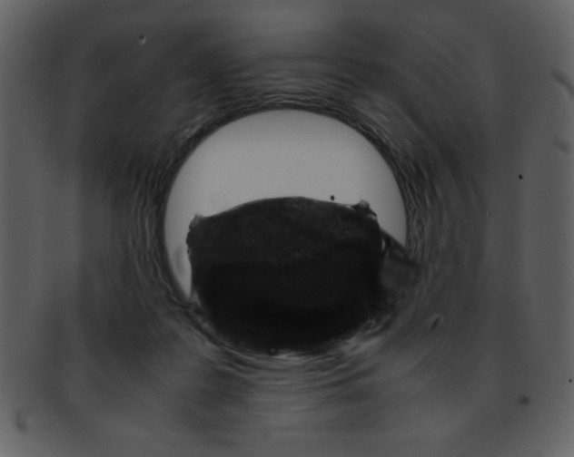 X0000093120219200710171252