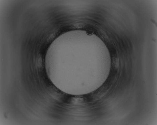 X0000093120220200710171252