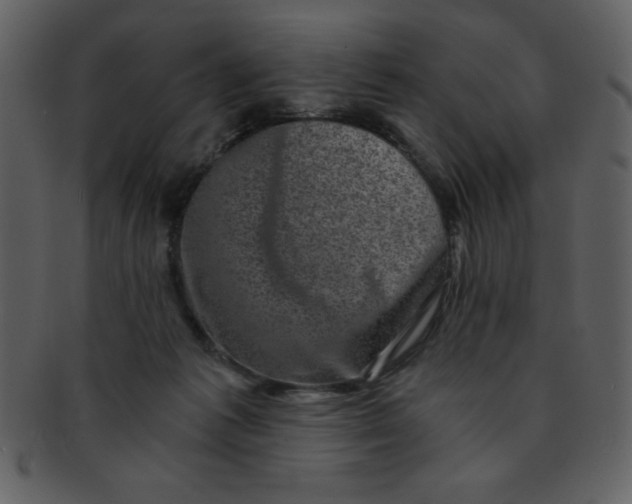 X0000093120221200710171252