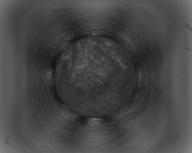 X0000093120222200710171252