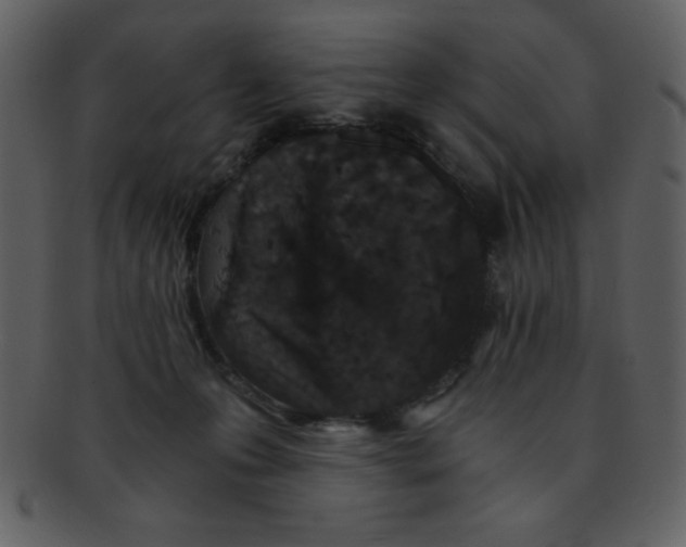 X0000093120223200710171252