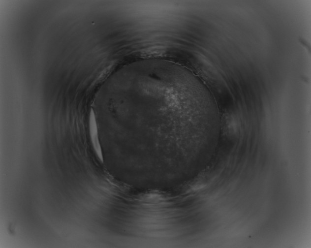 X0000093120224200710171252