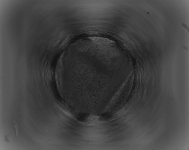 X0000093120227200710171252