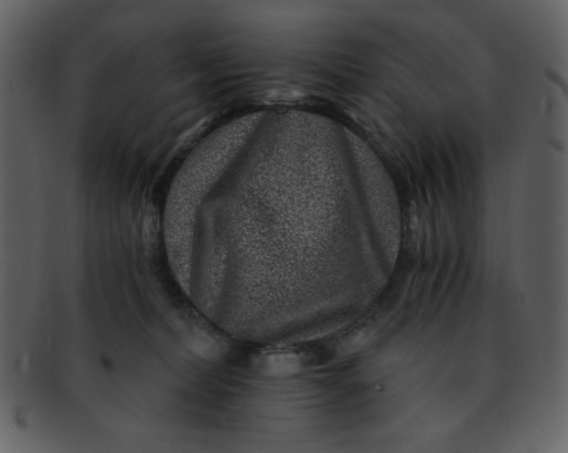 X0000093120228200710171252