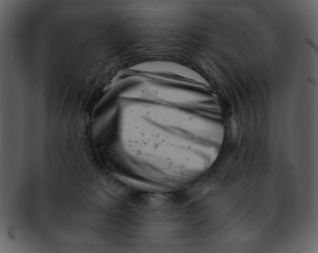 X0000093120229200710171252